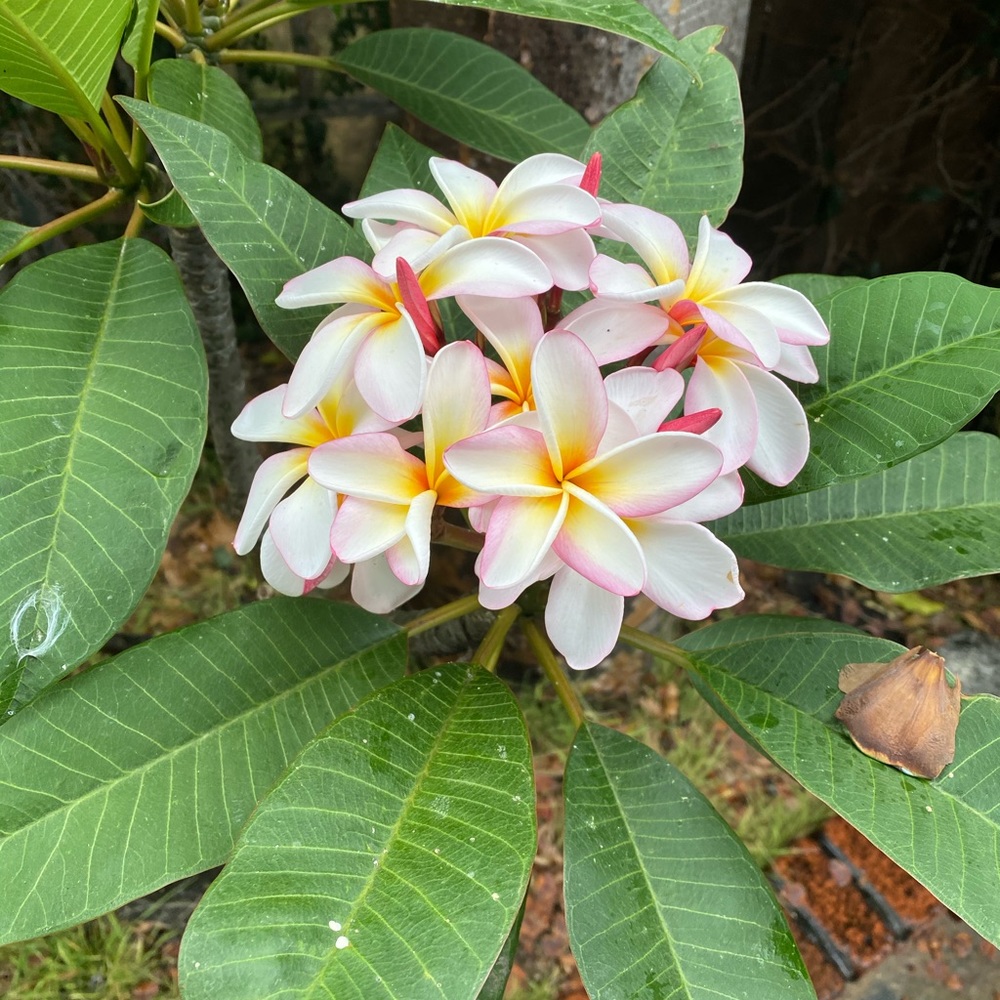 Meet your Posher, Christy